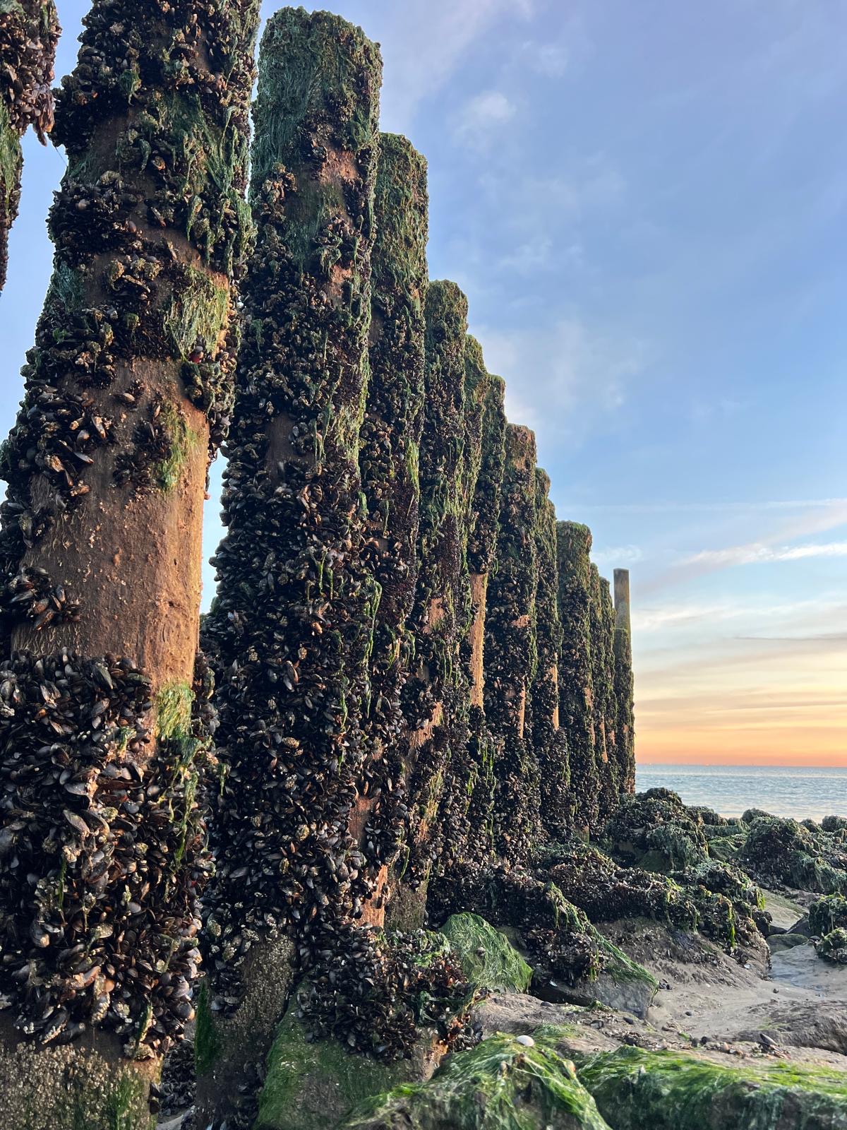 453d7442-b932-4ef8-9939-ae4feaac7c86 2