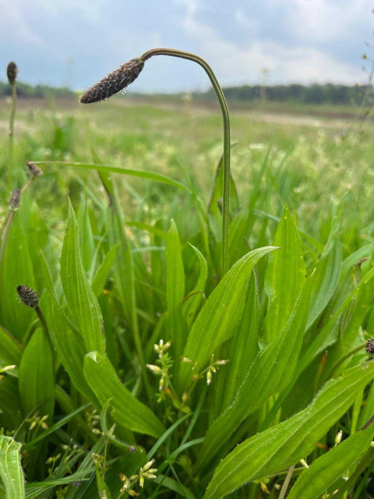 4b315b53-6684-4515-9502-0872dd53baab 2